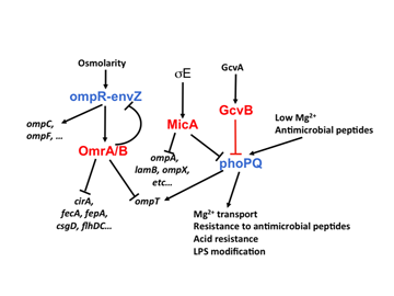 fig3